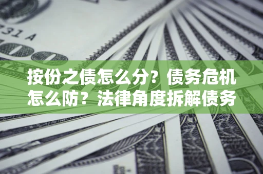 武汉按份之债怎么分？债务危机怎么防？法律角度拆解债务分配与风险自保指南