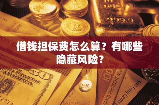 武汉借钱担保费怎么算？有哪些隐藏风险？
