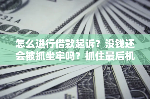 武汉怎么进行借款起诉？没钱还会被抓坐牢吗？抓住最后机会！
