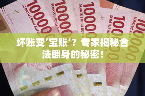 武汉坏账变‘宝账’？专家揭秘合法翻身的秘密！