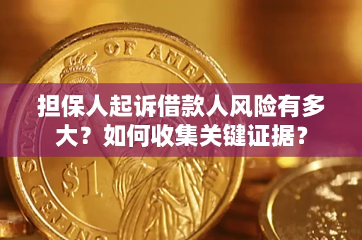 武汉担保人起诉借款人风险有多大？如何收集关键证据？