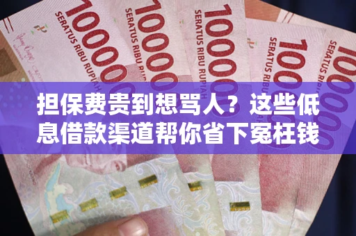 武汉担保费贵到想骂人？这些低息借款渠道帮你省下冤枉钱