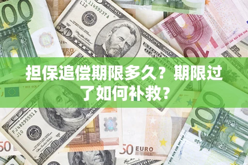 武汉担保追偿期限多久？期限过了如何补救？