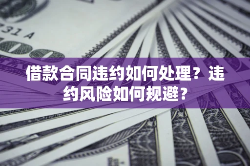 武汉借款合同违约如何处理？违约风险如何规避？