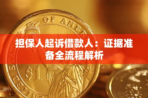 武汉担保人起诉借款人：证据准备全流程解析