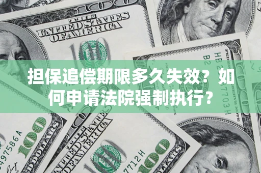 武汉担保追偿期限多久失效？如何申请法院强制执行？