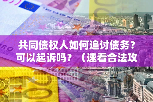 武汉共同债权人如何追讨债务？可以起诉吗？（速看合法攻略）