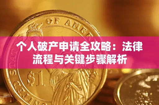 武汉个人破产申请全攻略：法律流程与关键步骤解析