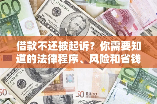 武汉借款不还被起诉？你需要知道的法律程序、风险和省钱技巧