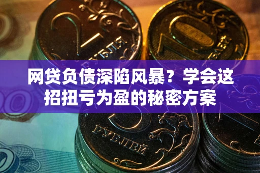 武汉网贷负债深陷风暴？学会这招扭亏为盈的秘密方案