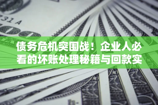 武汉债务危机突围战！企业人必看的坏账处理秘籍与回款实战指南