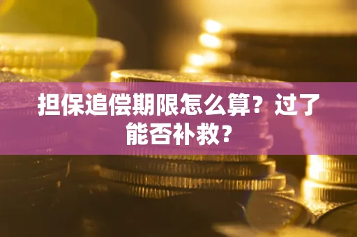 武汉担保追偿期限怎么算？过了能否补救？